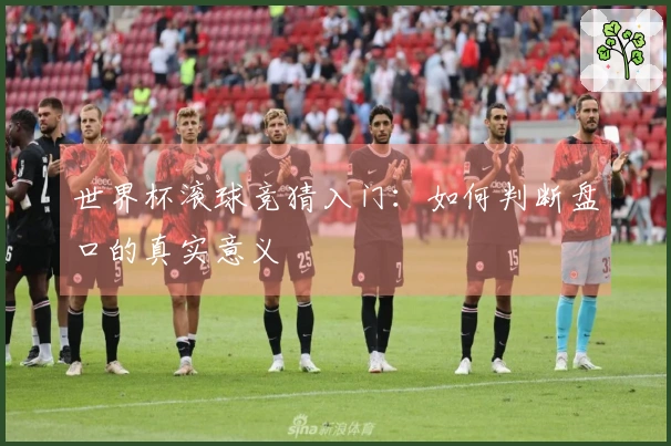 世界杯滚球竞猜入门：如何判断盘口的真实意义