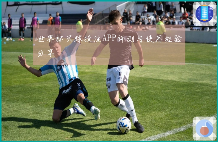 世界杯买球投注APP评测与使用经验分享