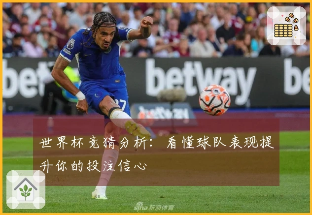 世界杯竞猜分析：看懂球队表现提升你的投注信心