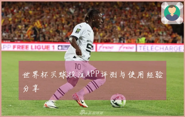 世界杯买球投注APP评测与使用经验分享