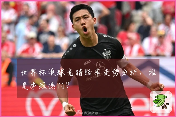 世界杯滚球竞猜赔率走势分析，谁是夺冠热门？