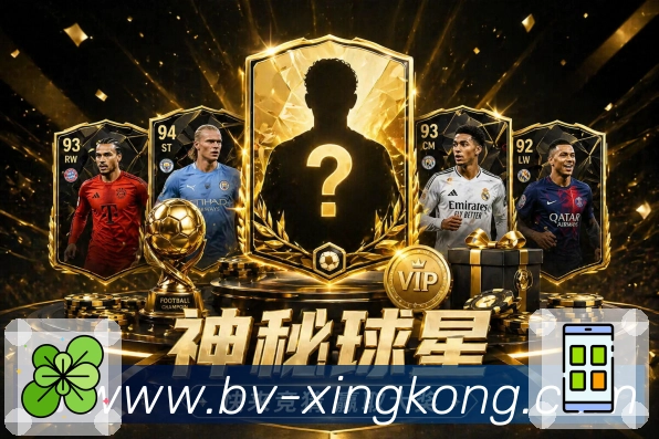 奖项证书
